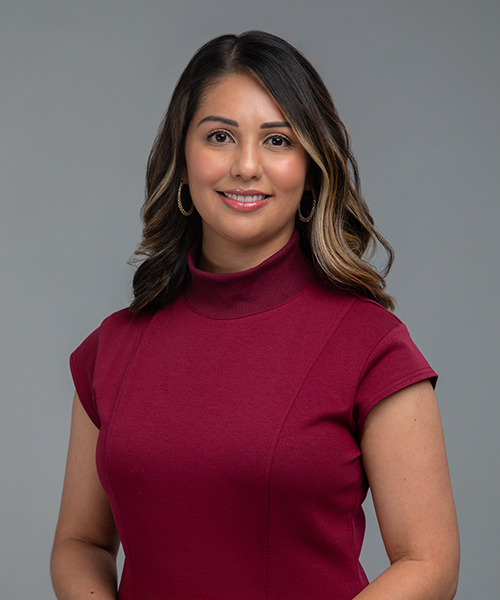 Grisel Wilson | Consult Supervising Attorney | Immigration Law